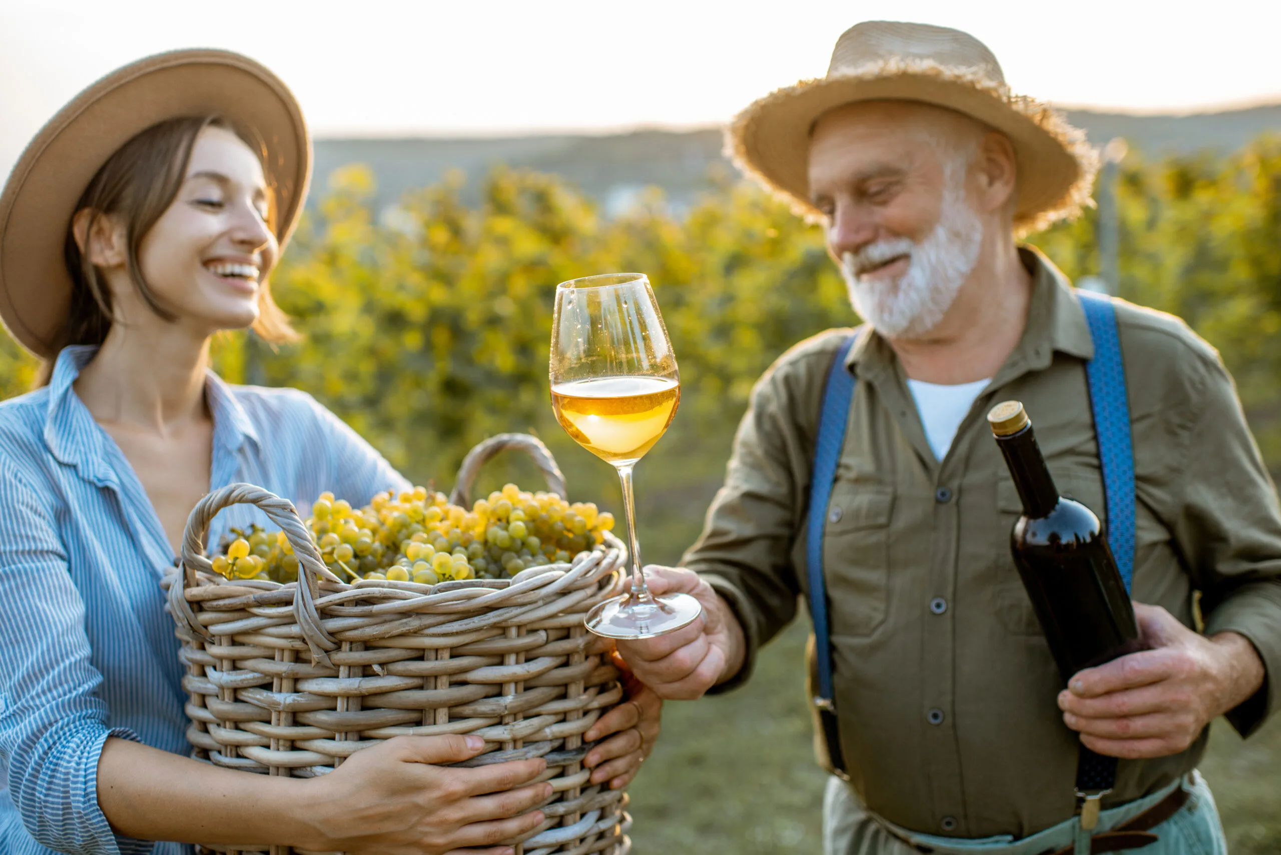 Cotnari Winery case study plan of action