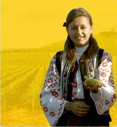 Cotnari Winery case study results